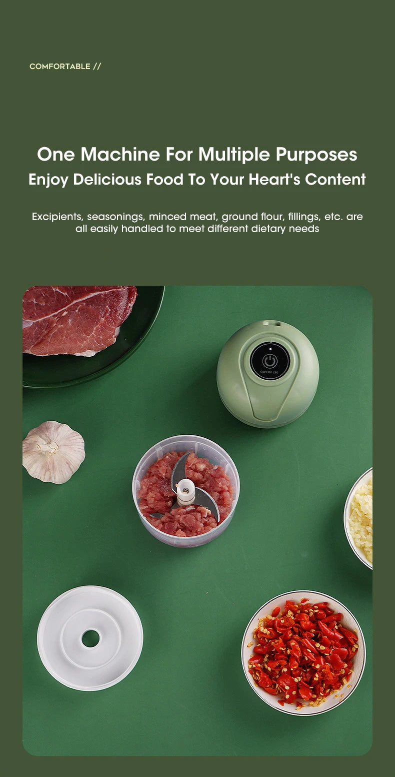 Portable Mini Food Chopper – Electric Garlic Crusher & Meat Grinder (250ml)